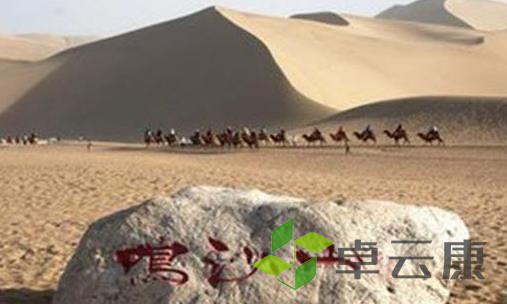 360截图20221216225542294
