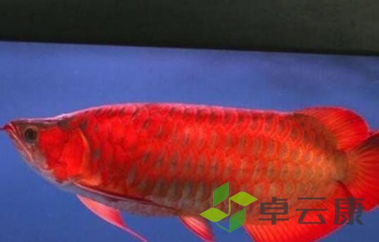 360截图20221217082005534