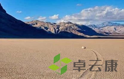 360截图20221217083312621