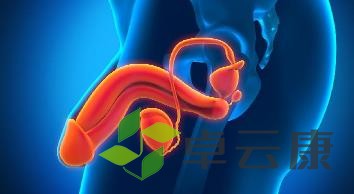 360截图20221217091428726