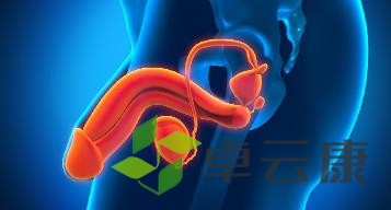 360截图20221217105735506
