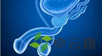 360截图20221217111111936