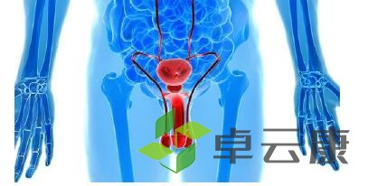 360截图20221217160925619