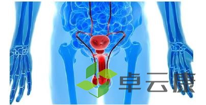 360截图20221217162825048