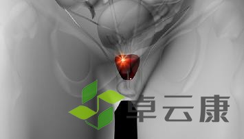 360截图20221217172256085