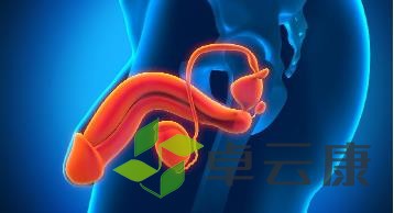360截图20221217182359089
