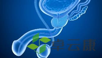 360截图20221217190237041