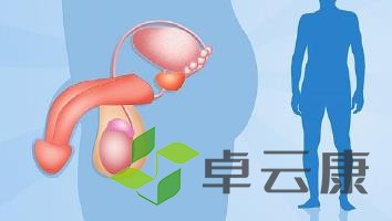 360截图20221217190924464