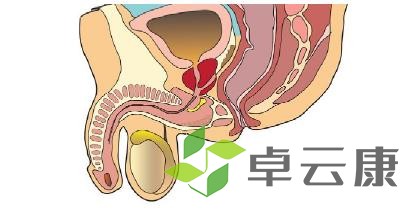 360截图20221217191112094
