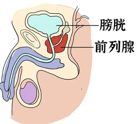 微信截图_20230106111544