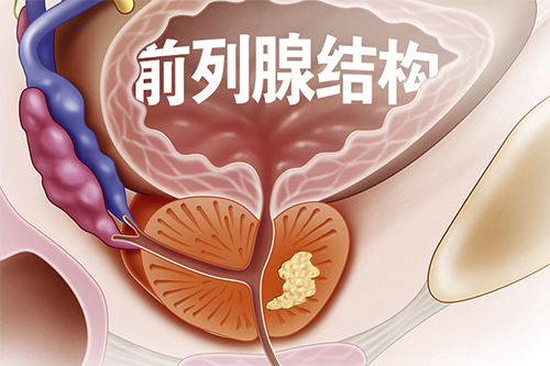 微信截图_20230106111544