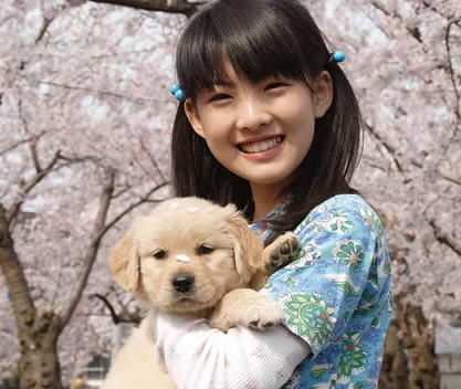 QQ截图20230106174950
