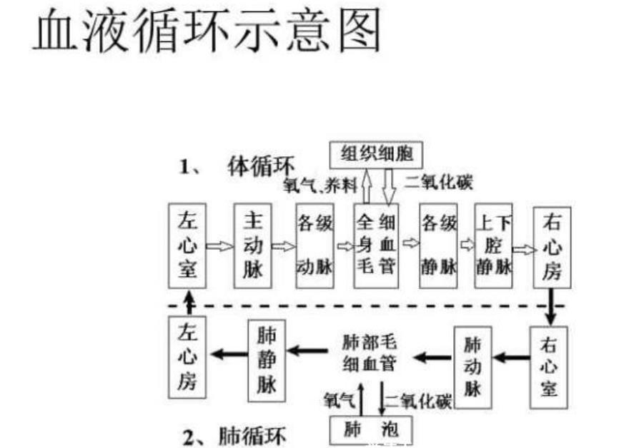 360截图20230113141951806