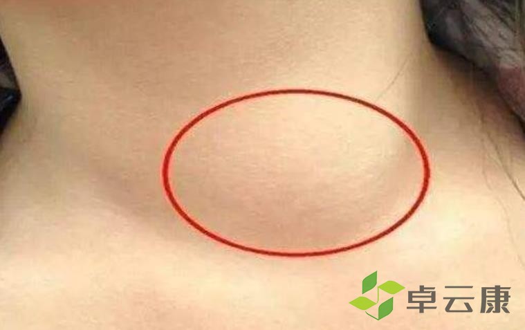 360截图20230114234953575