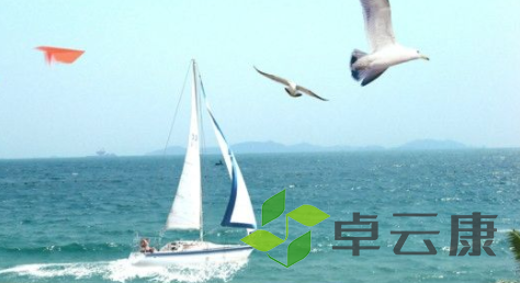 QQ截图20230115152852
