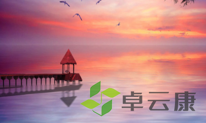 QQ截图20230115155200