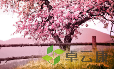 QQ截图20230116093924