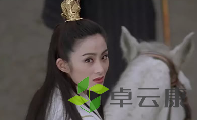 QQ截图20230117104821