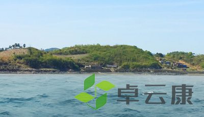 QQ截图20230117144019