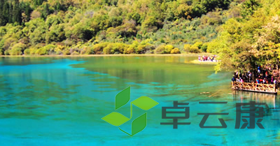 QQ截图20230118163756