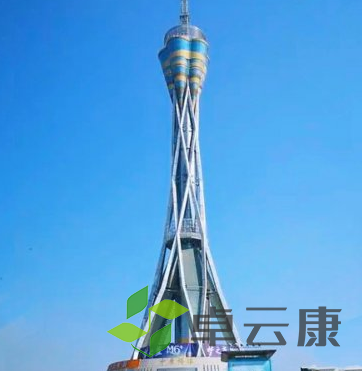 QQ截图20230120100829