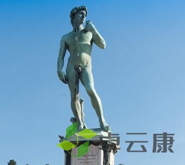 QQ截图20230120112723