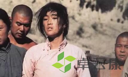 QQ截图20230120114034