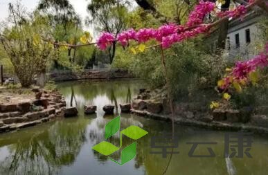 QQ截图20230120130351
