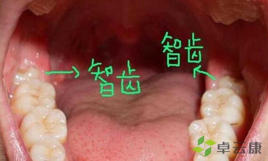 360截图20230129205005489