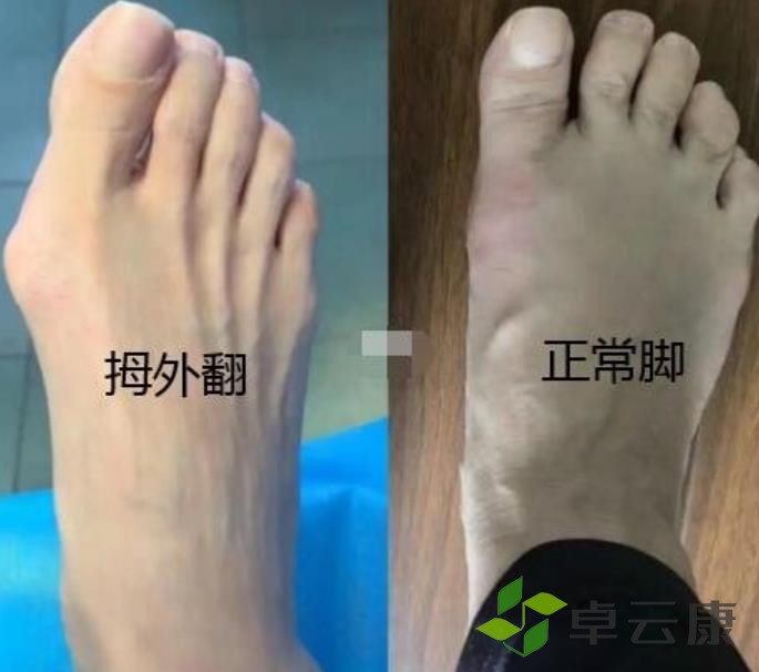360截图20230129223936058