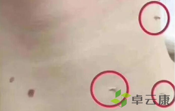 360截图20230129225014536