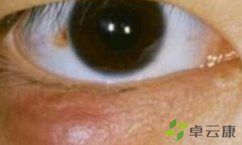 360截图20230129225152194