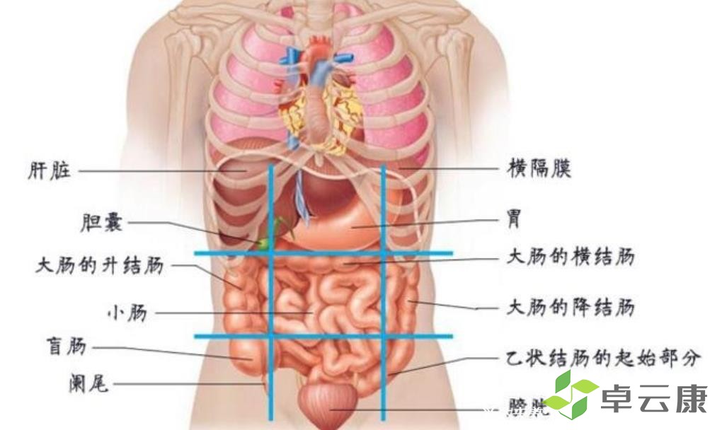 360截图20230129231420384