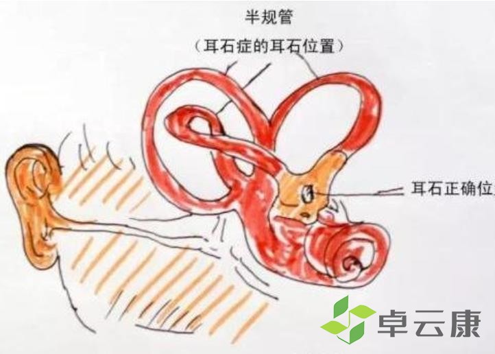 360截图20230131205640274
