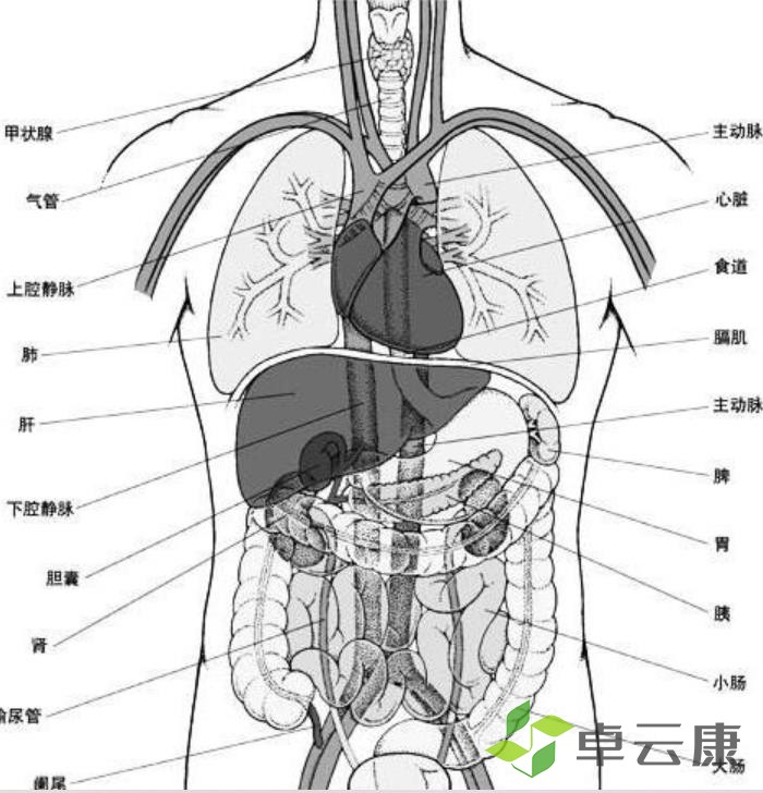 360截图20230131235028044