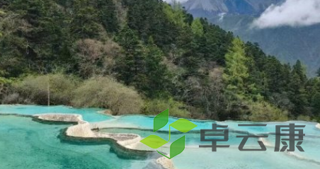 QQ截图20230201143926