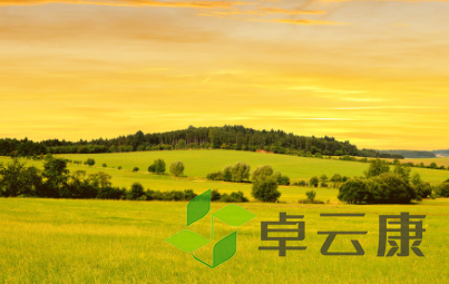 QQ截图20230201150712