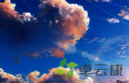 QQ截图20230201152726
