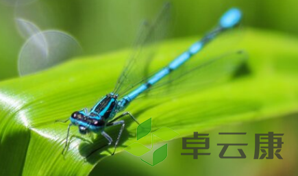 QQ截图20230202105602
