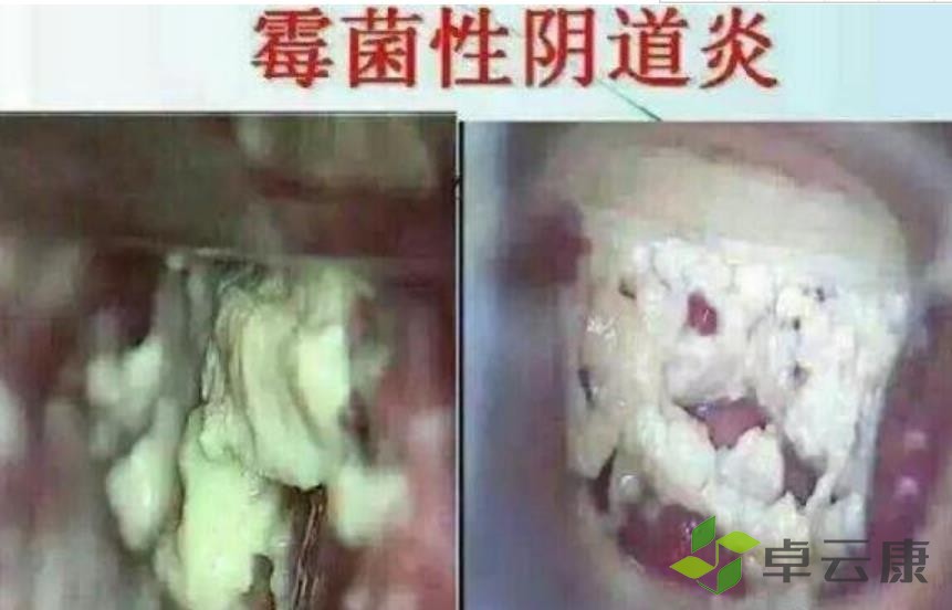 360截图20230202223841836