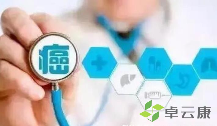 360截图20230202225554837