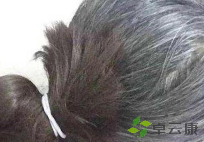 360截图20230202232349507