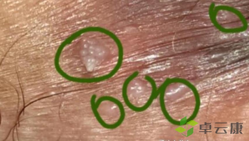 360截图20230203084915025