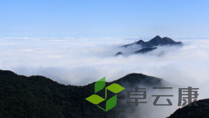 QQ截图20230203095503