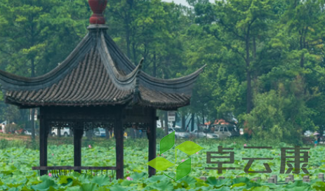QQ截图20230203110702