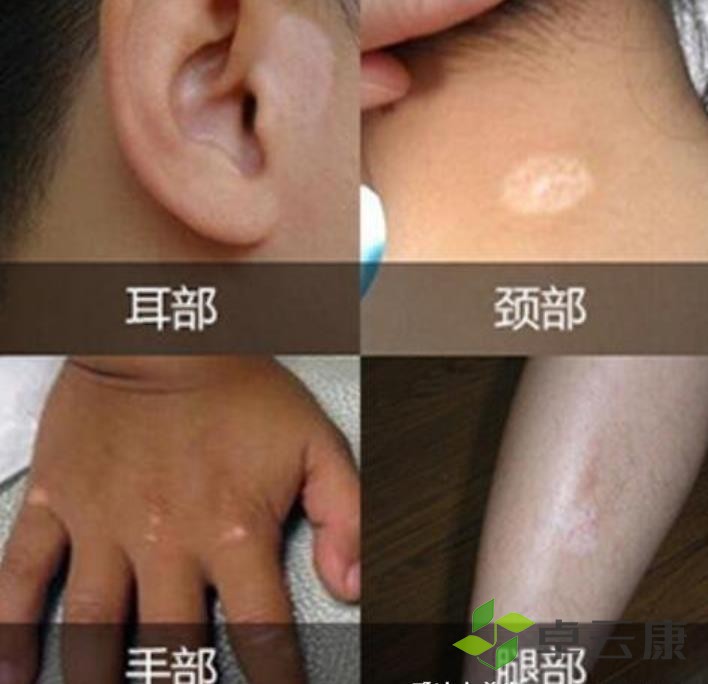 360截图20230203112822584