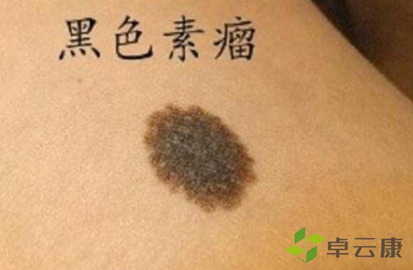 360截图20230204220257085