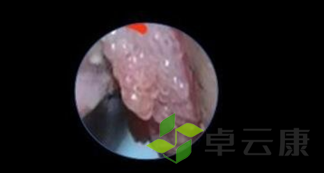 360截图20230205162432153