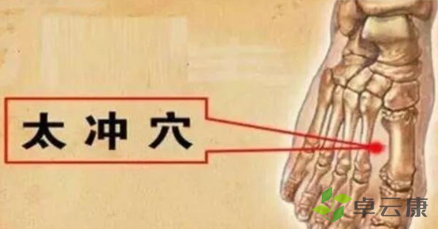 360截图20230205213251099