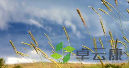 QQ截图20230206095234